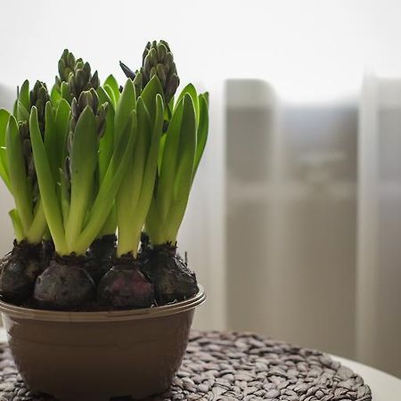Saulys Apartment Druskininkai Phòng bức ảnh